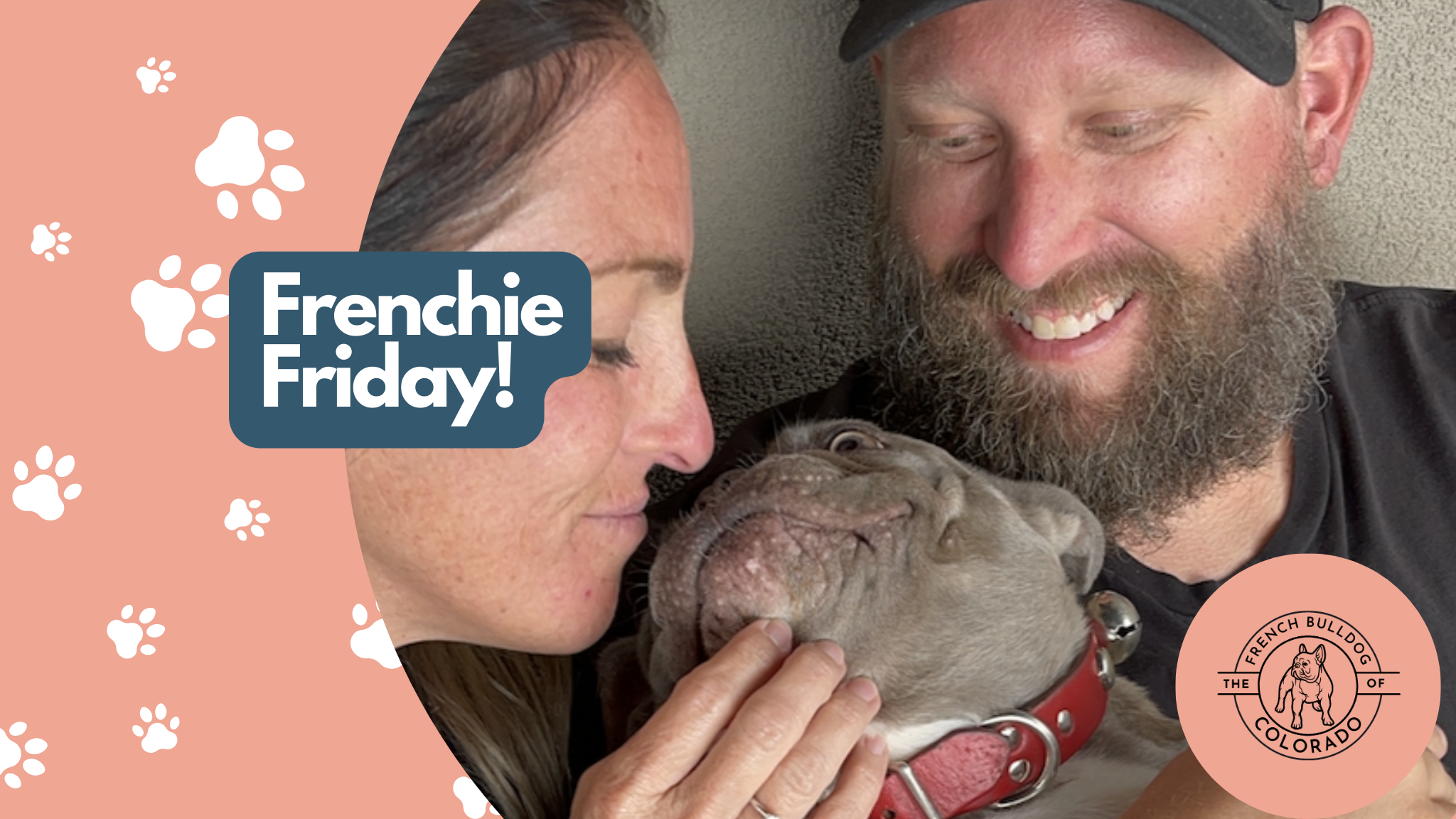 Frenchie Friday June 24th, 2022